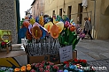 VBS_8229 - Mercatino dell'Antiquariato e dell'Hobbismo